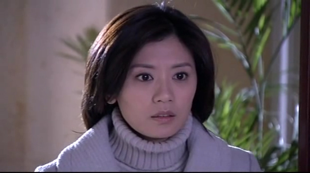 爱无敌》是由北京东方在扬文化传播有限公司出品的一部家庭情感剧电视