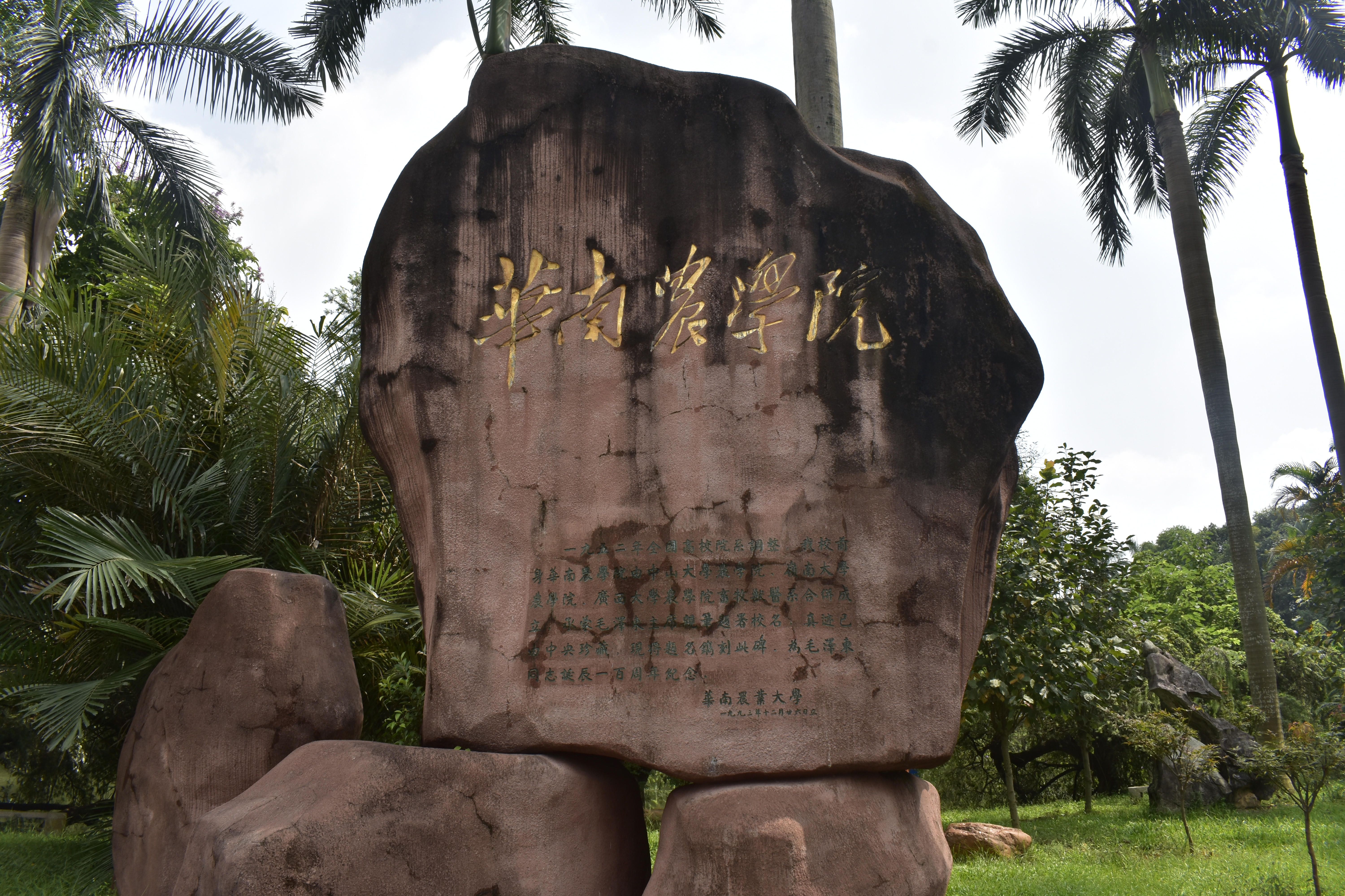  p>华南农业大学(south china agricultural university),简称"华农"