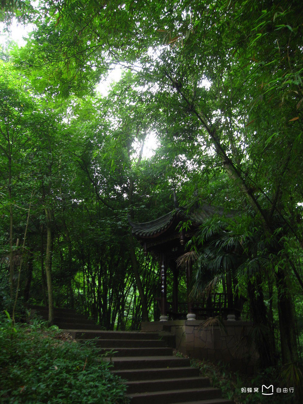 凤栖山景区