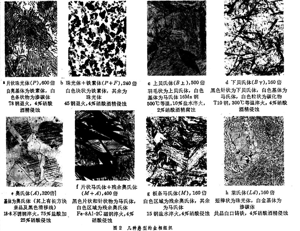  p data-id="u1nf2jwoph8f">钢铁显微组织是在 a target="_blank"