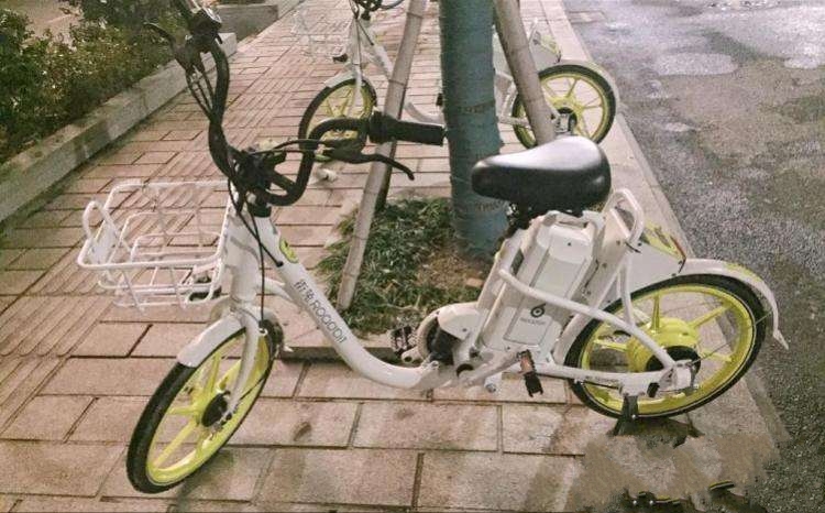 街兔电单车