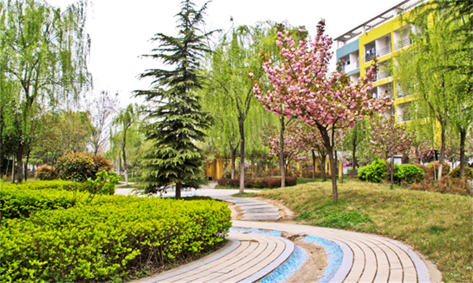 西安培华女子大学