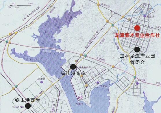 广西博白县龙潭镇