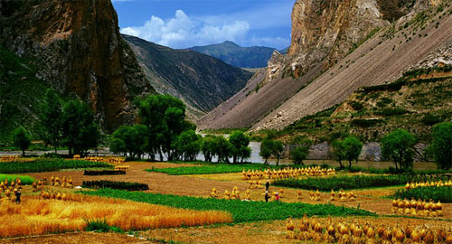  p>准噶尔盆地(英文junggar basin;"噶"为gá),位于中国 a target="