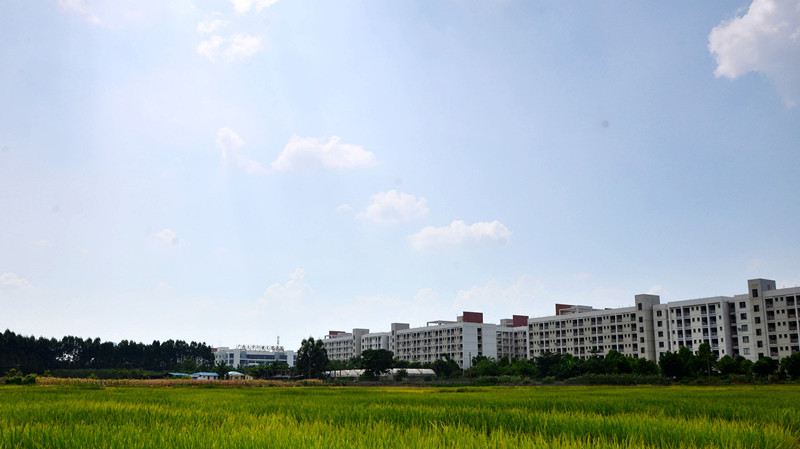 广西大学行健文理学院