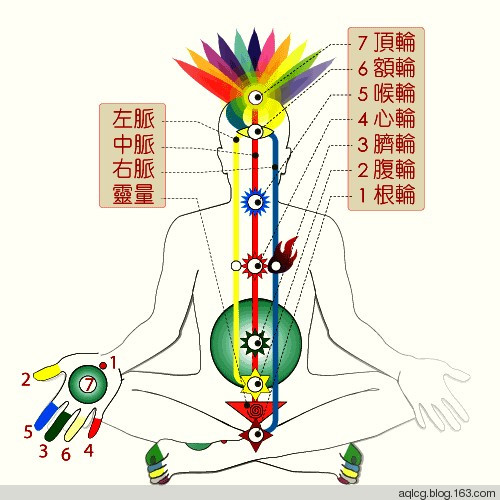  p>中脉被藏密称之为命脉,大道脉,梵语称作啊缚都底,藏语称作武玛,根