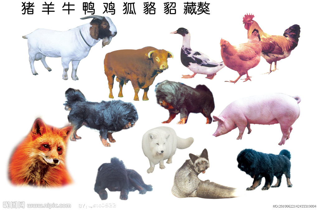  p>四肢动物亦称四脚类,四足类,包括属于脊椎动物的两栖类,爬行类