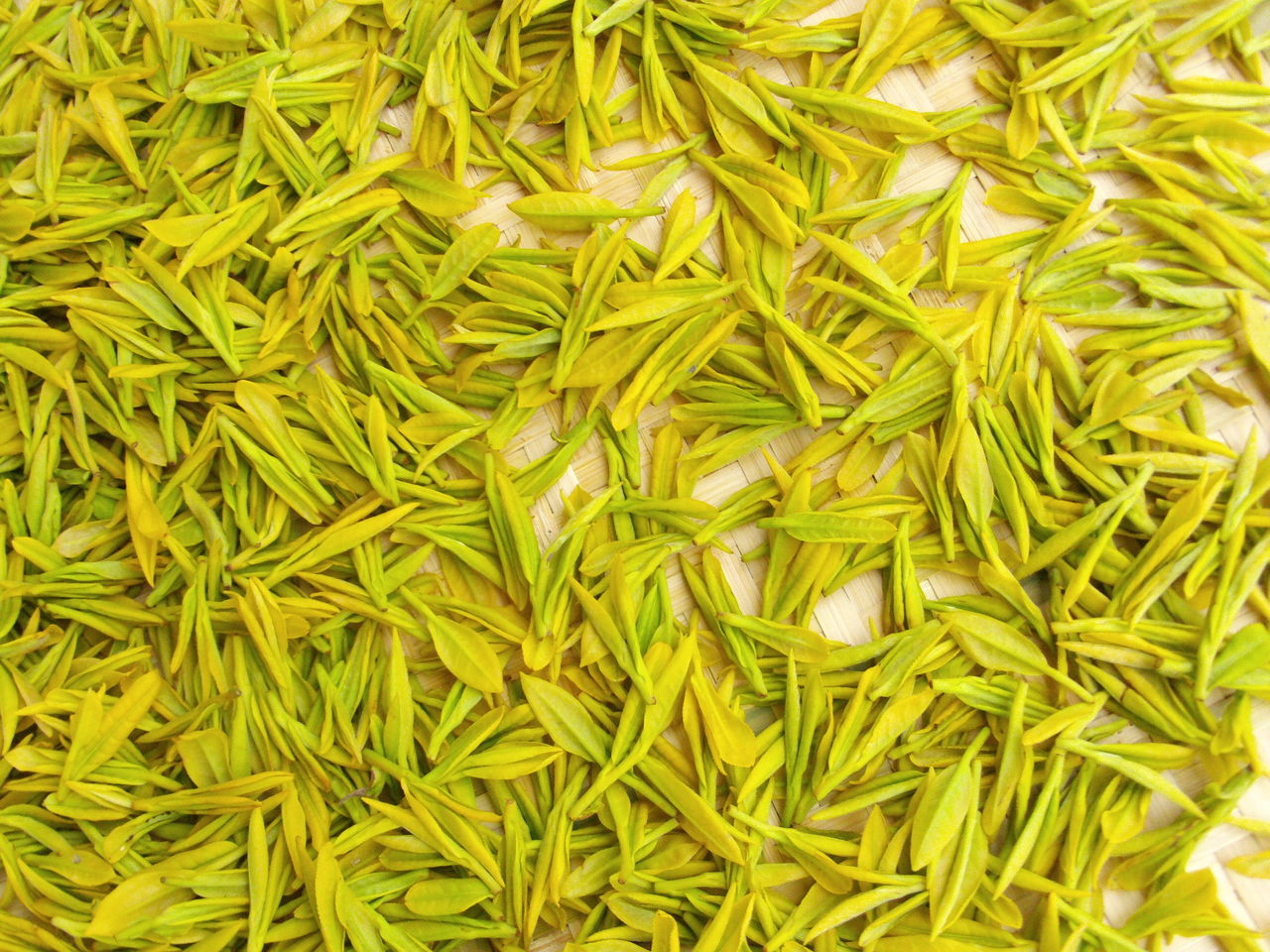  p data-id="go1rw4g7fp">黄茶是中国特产.