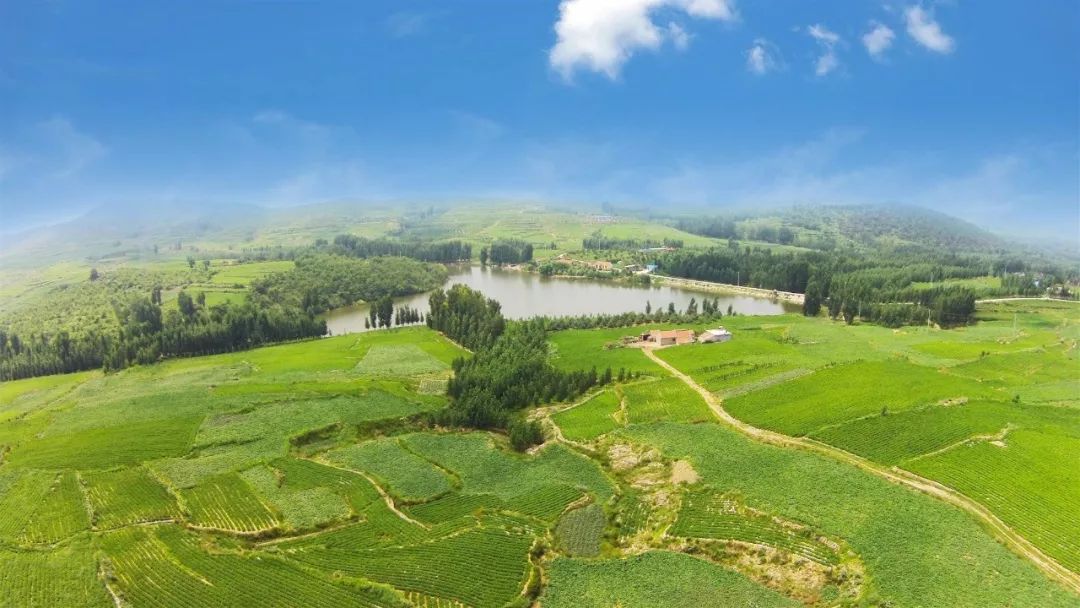 id="2ludrngxoy2">泰茶良心谷有机生态示范园,3a级景区,位于山东泰 