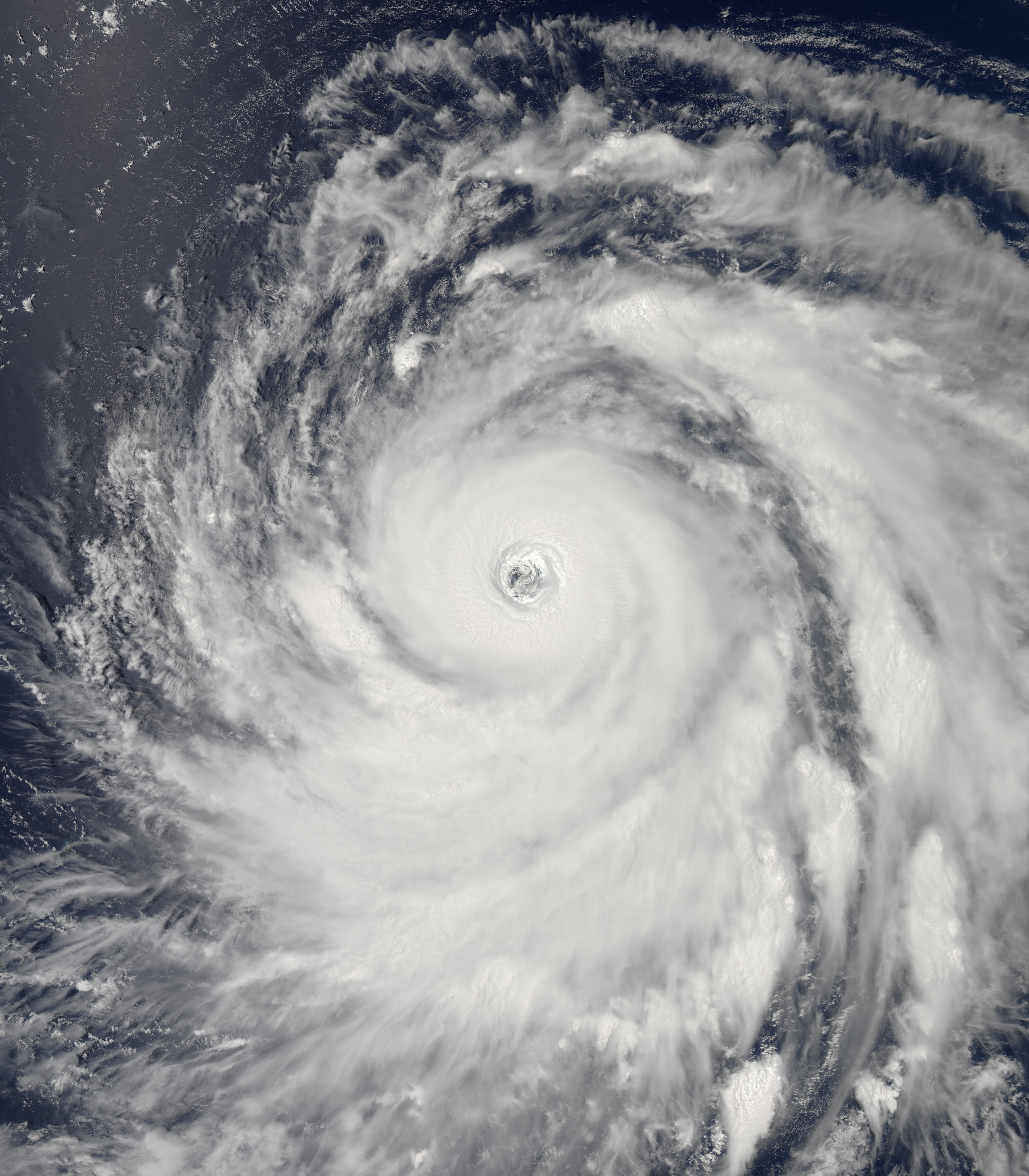 2015年太平洋台风季