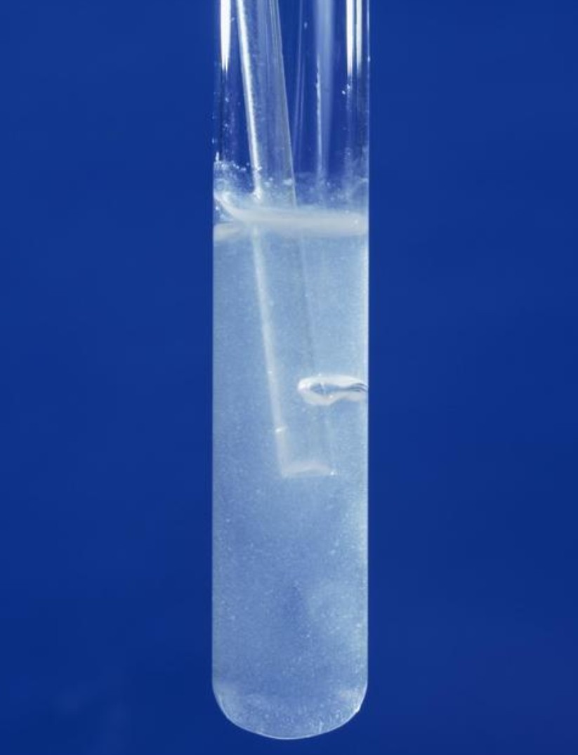 氢氧化钙水溶液