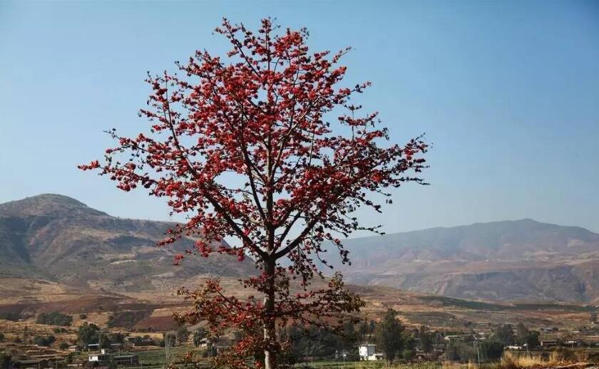  p data-id="go06jzkgjs">黄坪镇,隶属于云南省大理白族自治州鹤庆县