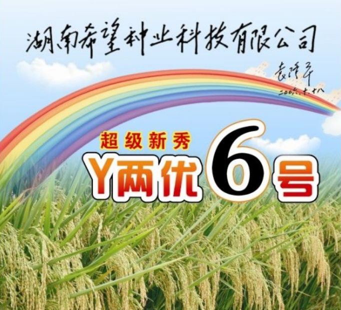  p>y两优6号是 a target="_blank" href="/item/湖南希望种业科技有限