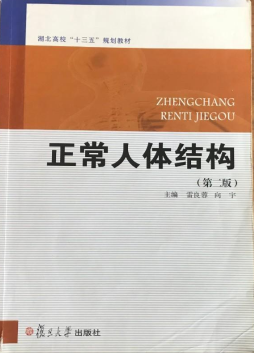 正常人体结构(第二版)