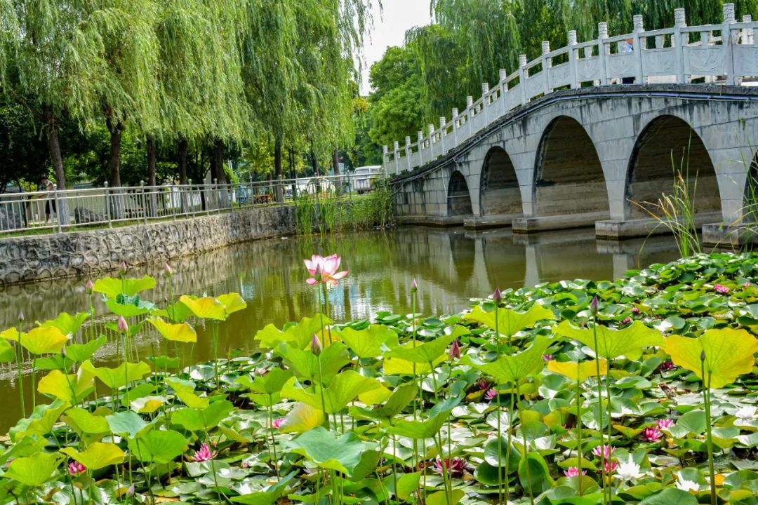 仙桃职业学院