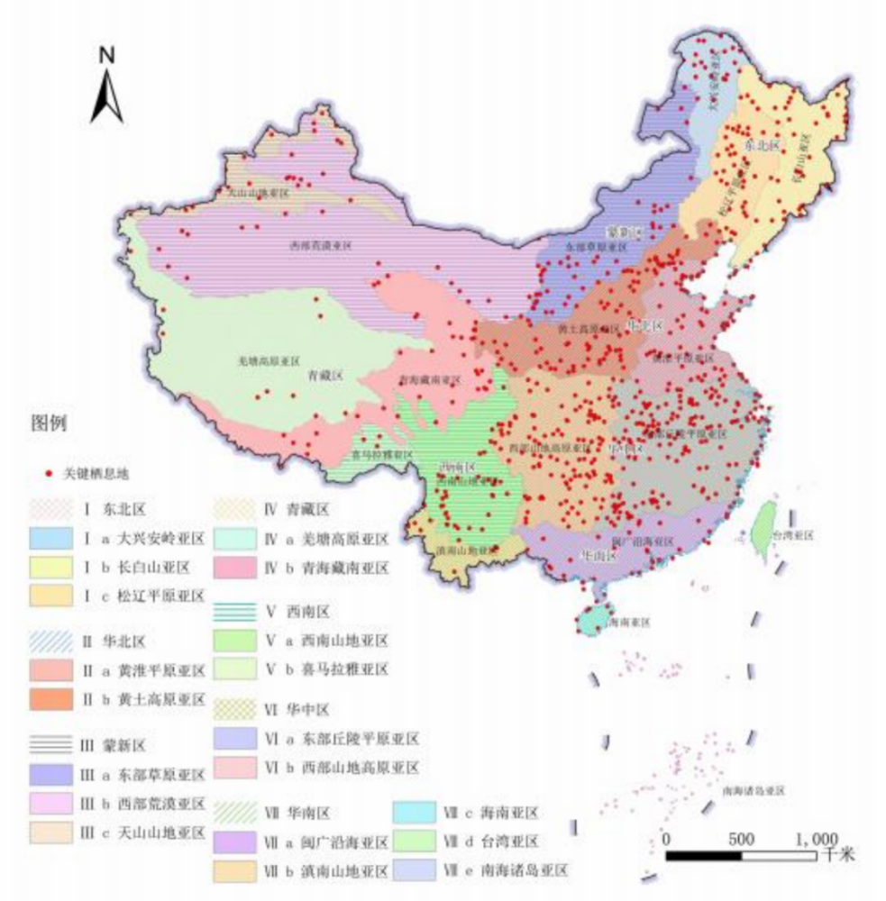 候鸟迁飞通道保护修复中国行动计划（2024—2030年）_百度百科