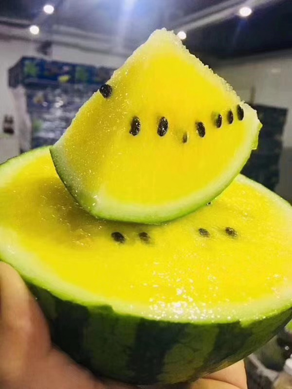 特小凤西瓜