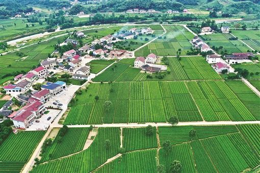 湖南省常德市鼎城区现代农业产业园