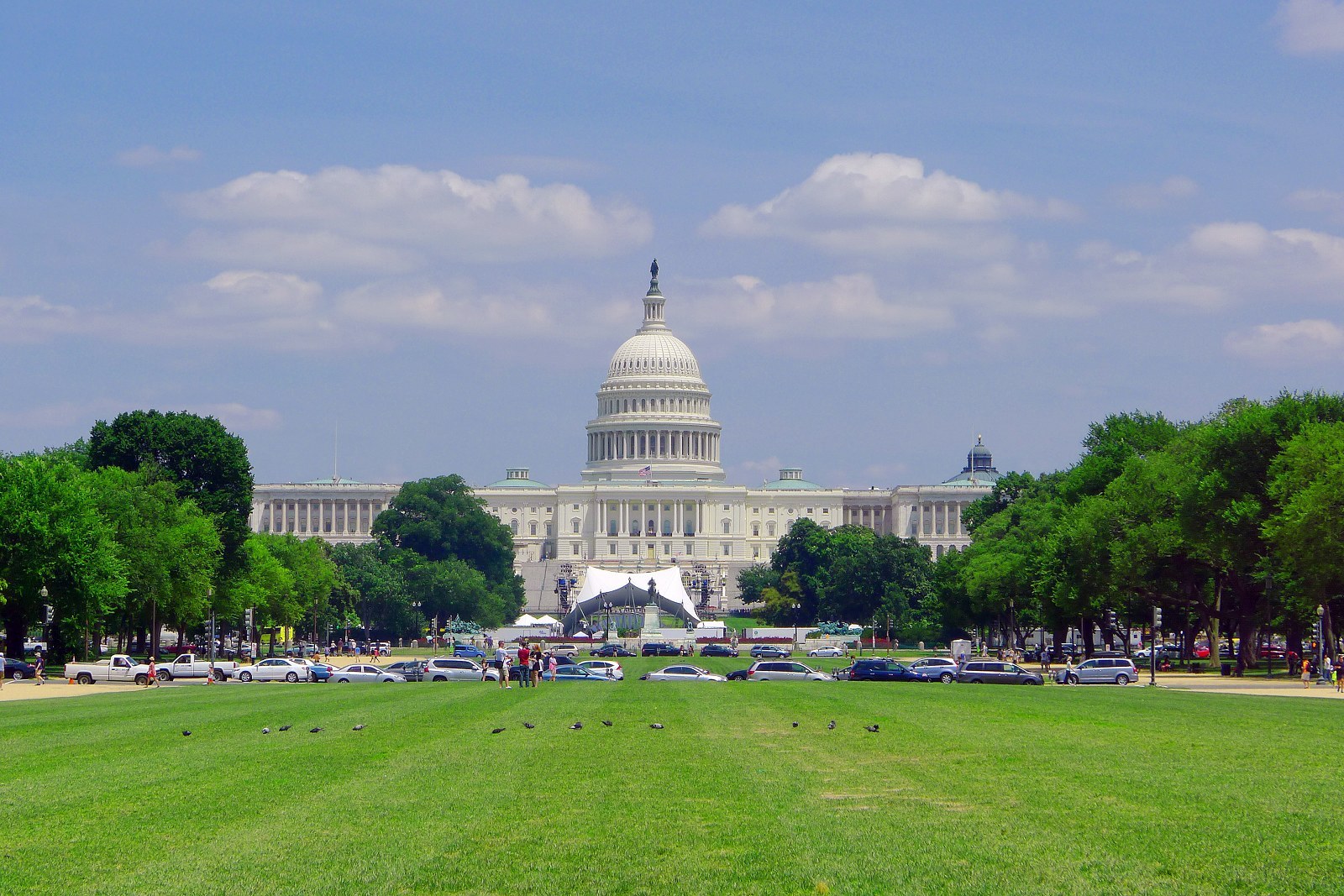  p data-id="gnwq815sqe">华盛顿是丘陵城市,国会山就是 a target="