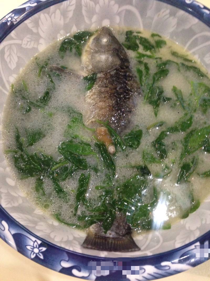 枸杞叶鲫鱼汤