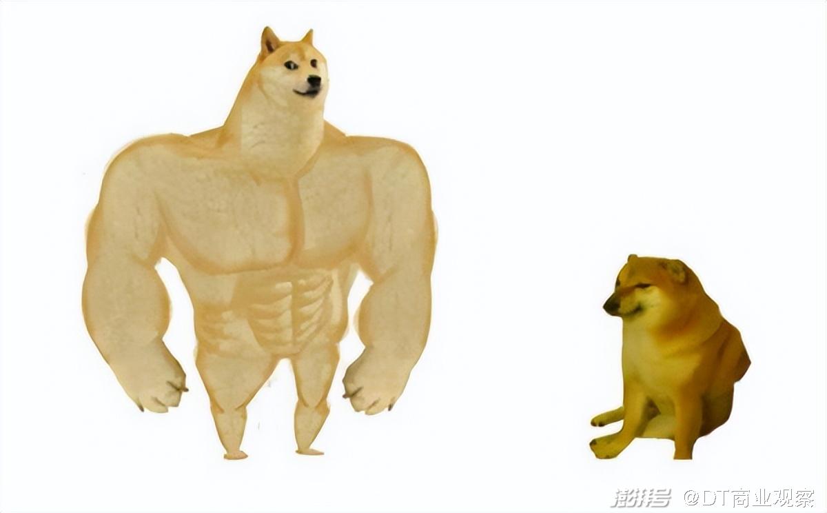 一周涨粉10万，猫meme怎么就火了？_百科TA说