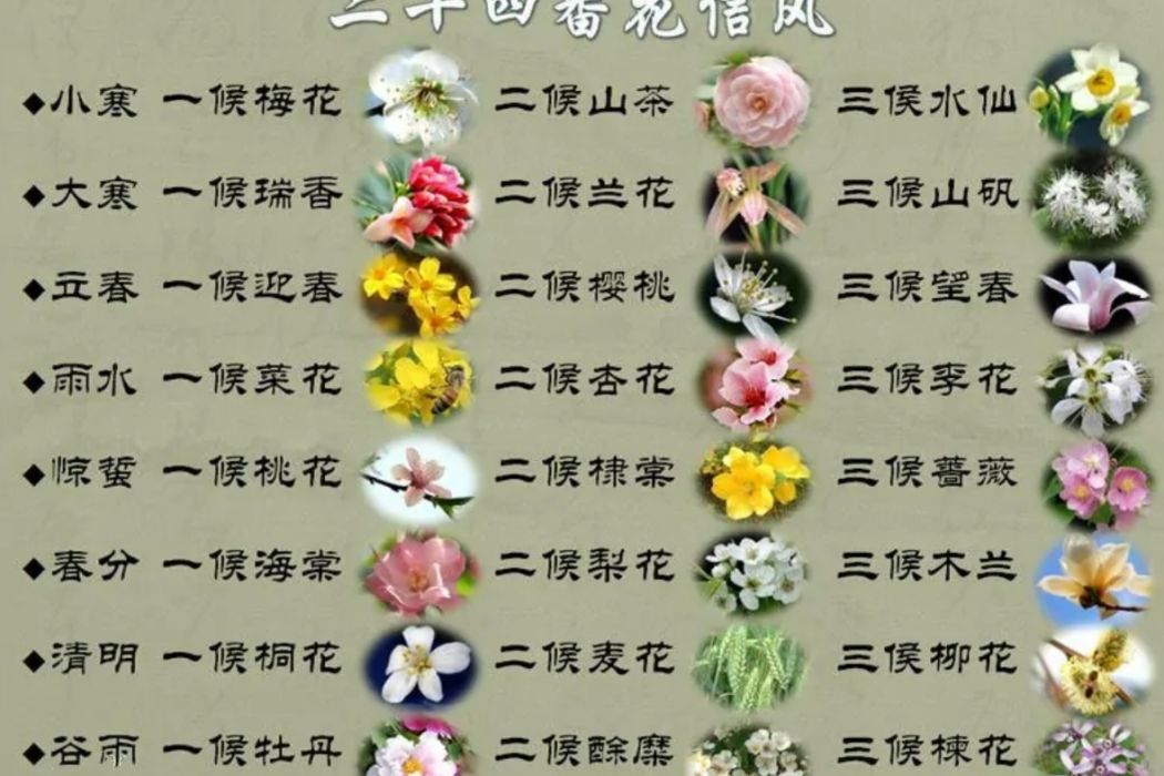二十四番花信 百度百科