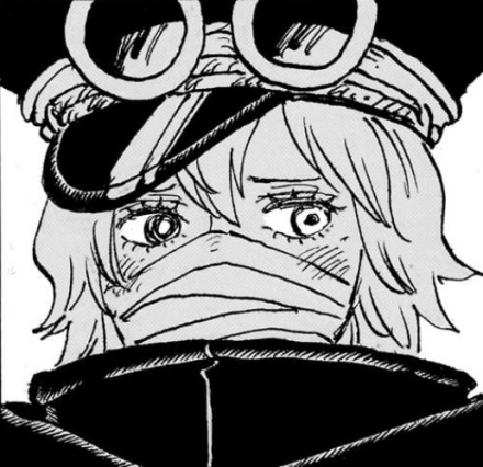 军子（日本漫画《航海王》及其衍生中的角色）_百度百科