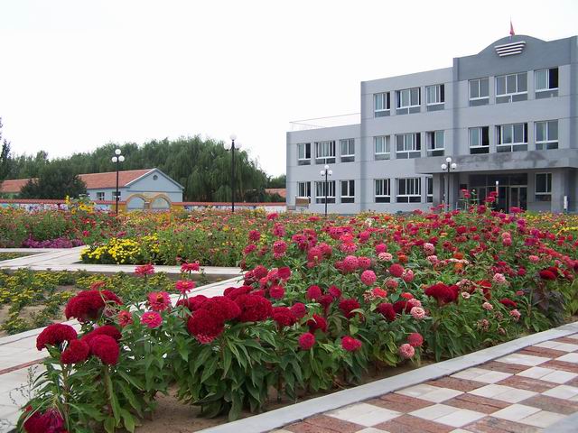  p>额勒顺中心校位于库伦旗北部塔民查干大沙漠深处,1978年改称额勒顺