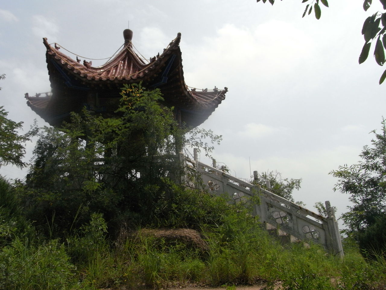 山阳苍龙山森林公园