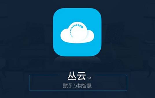 云端服务器（基于SaaS的企业级信息化管理系统）_百度百科