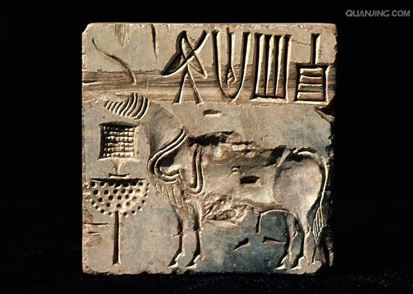 indus valley civilization