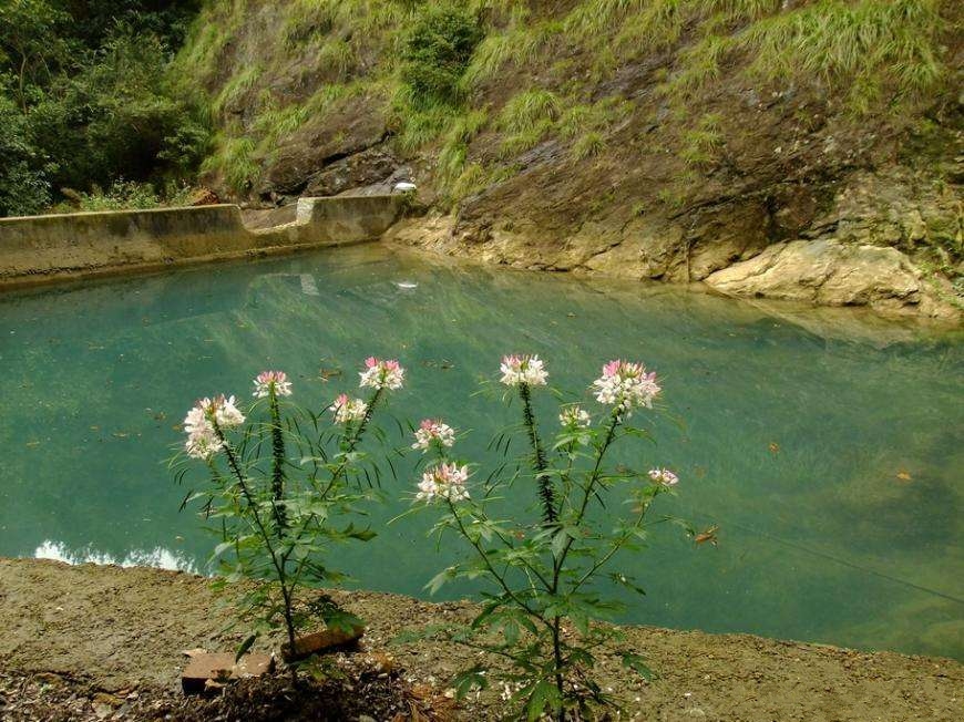  p>"宝掌幽谷"位于浦江县城北郊五公里, a target="_blank" href="