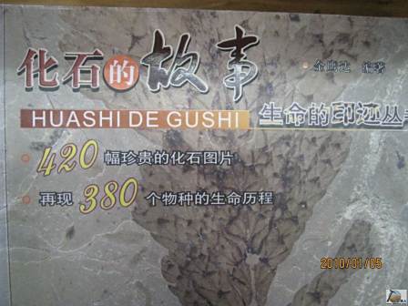 <p>唇口目