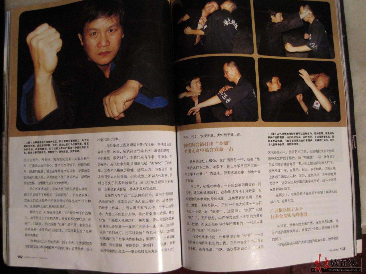  p data-id="gnbqwa6ve7">壮拳——也称昂拳,指在 a target="_blank"