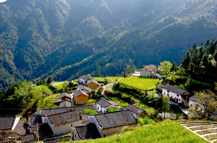  p>祁门县,隶属于 a target="_blank" href="/item/安徽省/526353"