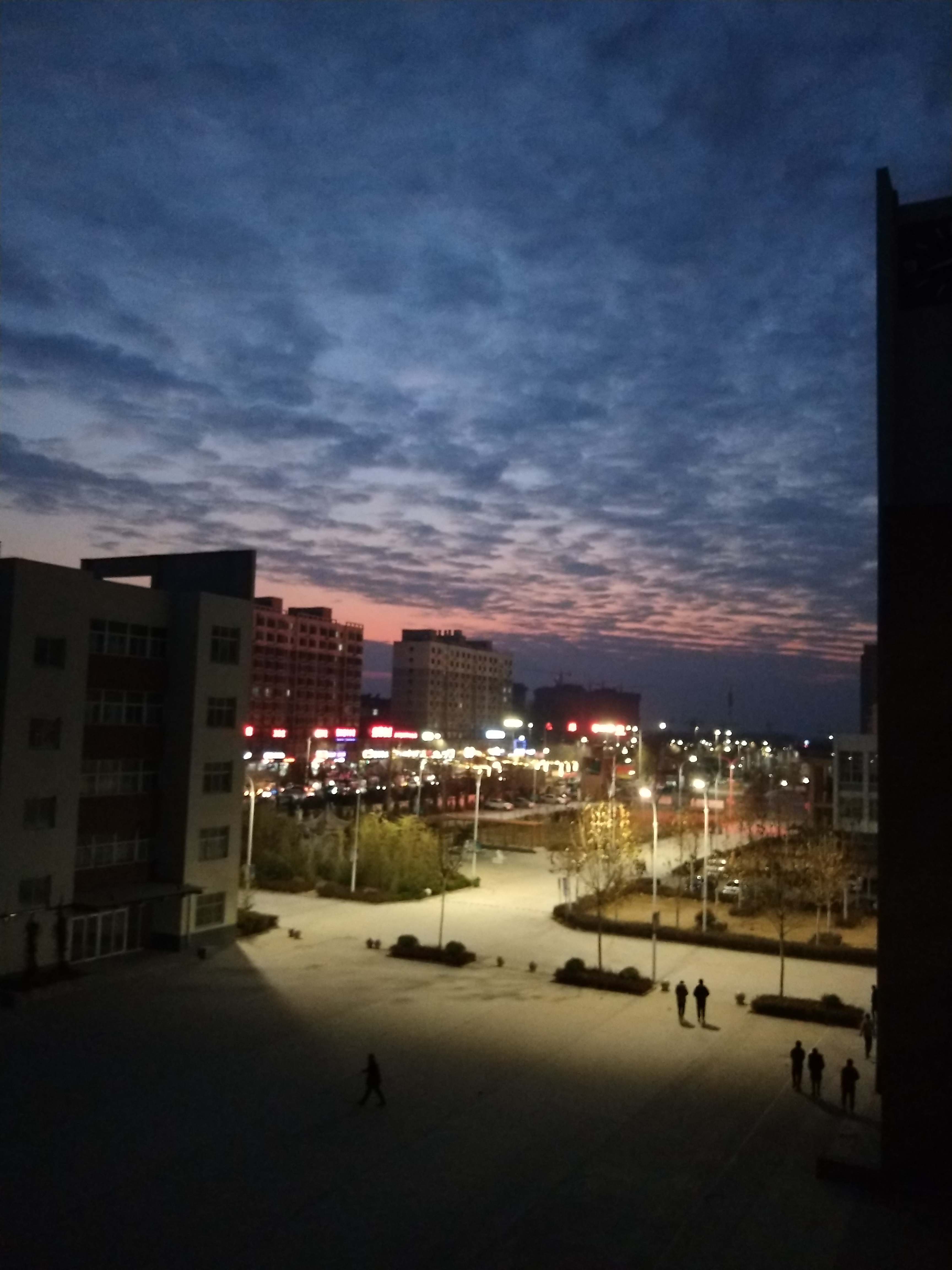 菏泽市定陶区第一中学