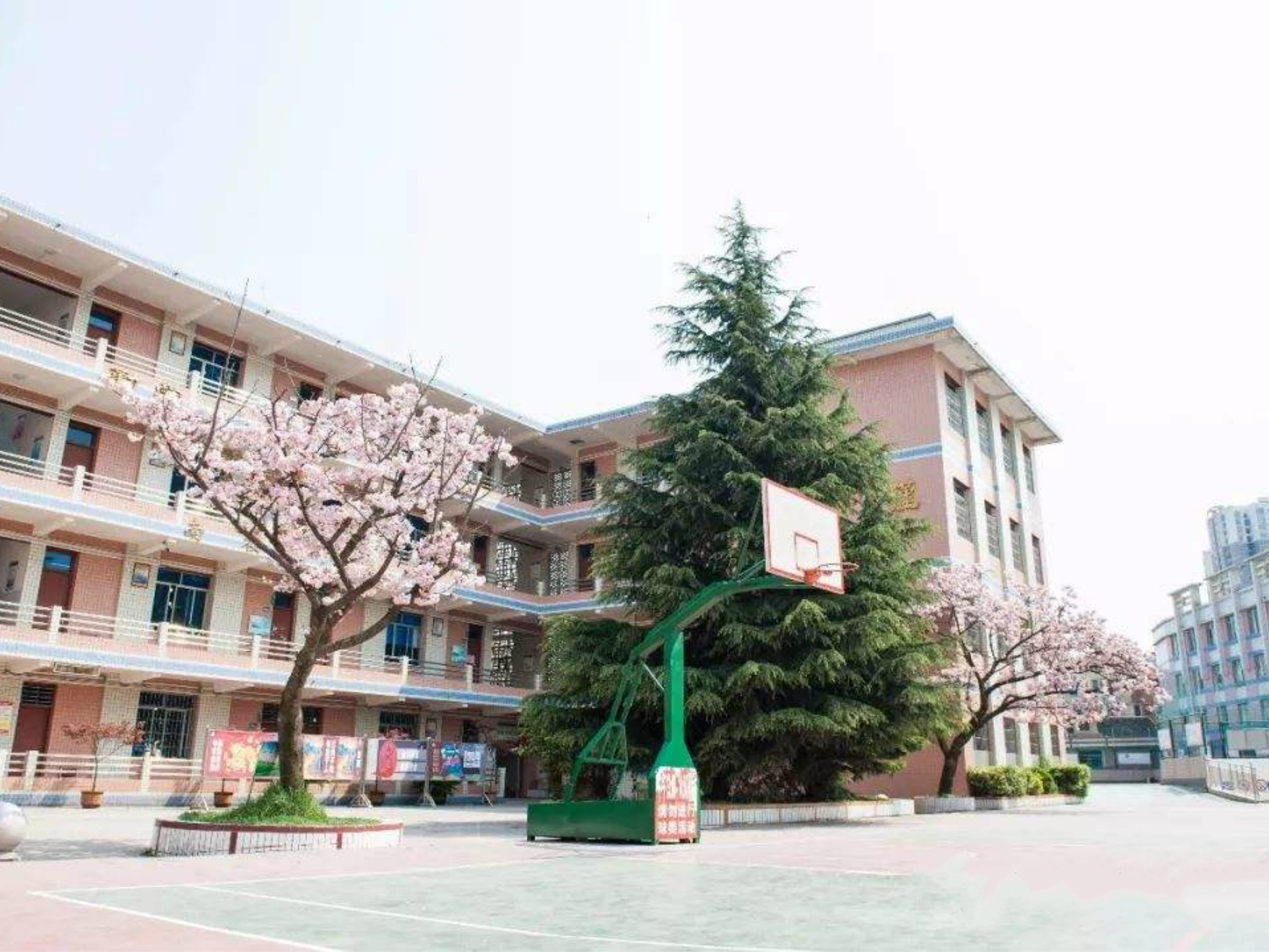 安顺市第三高级中学