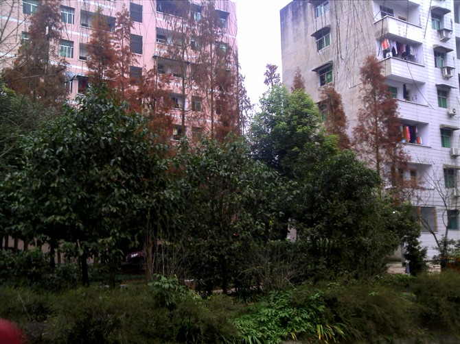 邻水县丰禾中学