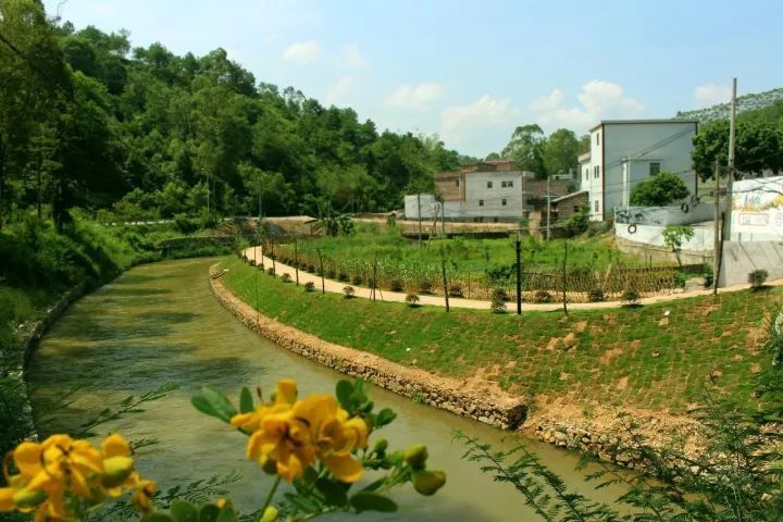  p data-id="gnbq8tssjn">五华县新丰寨休闲农业旅游区位于 a target=