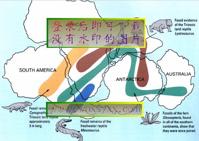  p data-id="go0d3qk7ix">冈瓦纳古陆(冈瓦纳大陆),是一个推测存在于