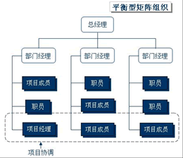  p>平衡矩阵组织(balancedmatrixorganization)平衡矩阵组织也称中