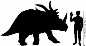 p>戟龙( i>styracosaurus /i>)又名刺盾角龙,在希腊文意为"有尖刺的