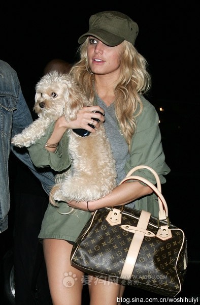  p>可卡颇犬( cockapoo),俗称 a href="#" data-lemmaid="9972949">