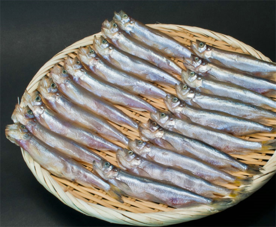  p>胡瓜鱼(学名: i>osmerus mordax&nbsp;(mitchill) /i>),为 a