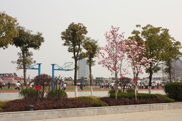 宜昌市第八中学