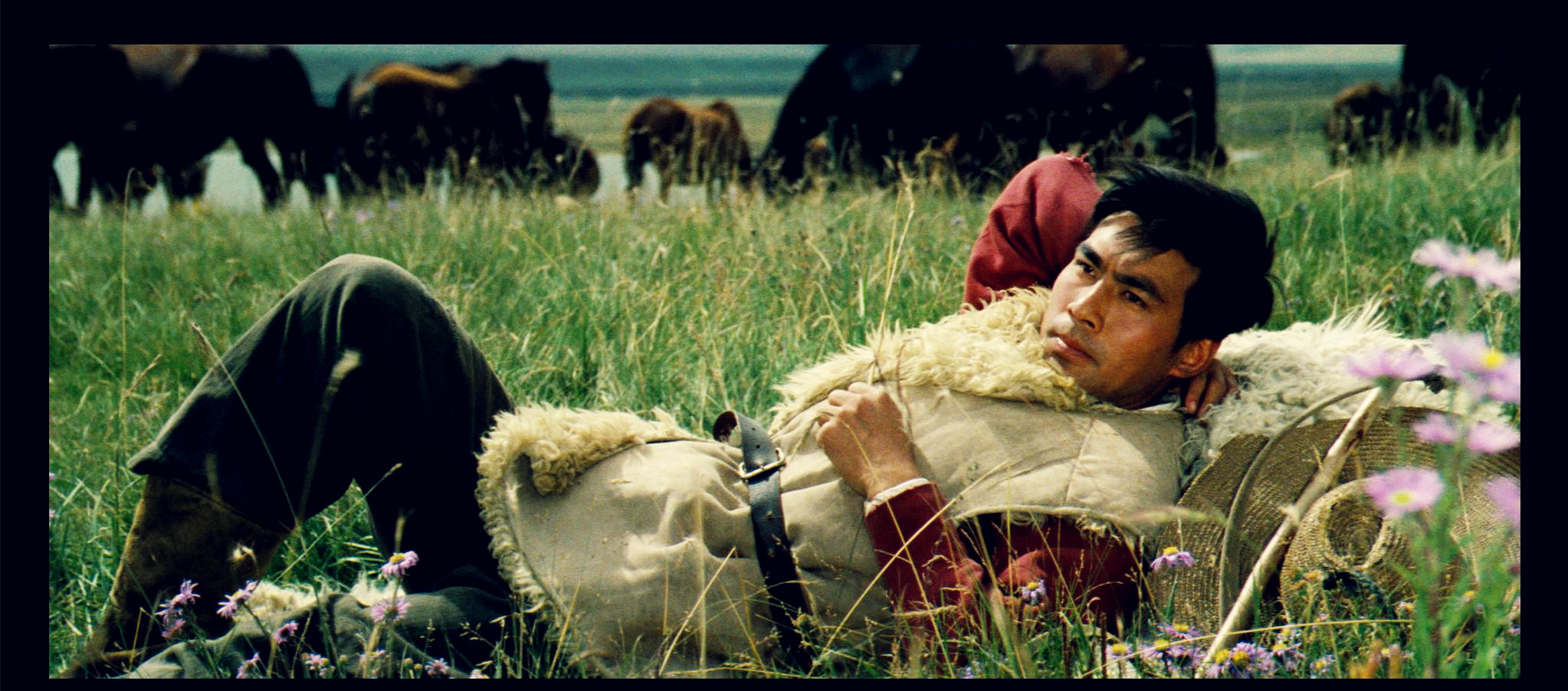  p>《牧马人》是 a target="_blank" href="/item/上海电影制片厂