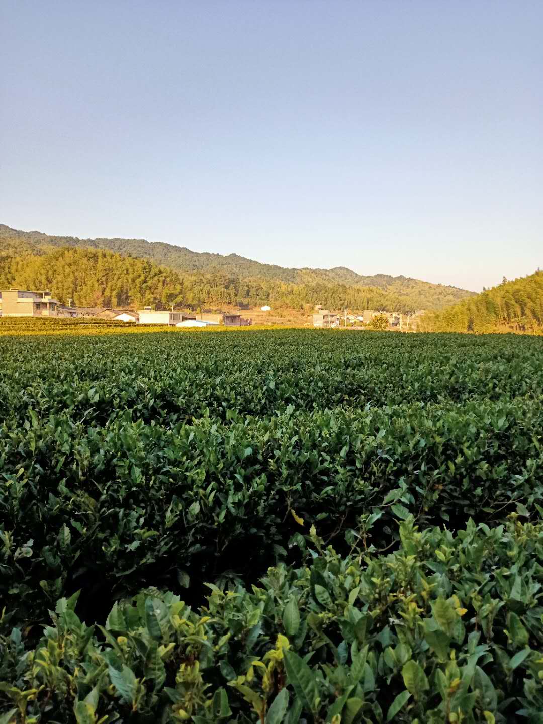  p>兰洞是汝城县 a target="_blank" href="/item/三江口瑶族镇">三