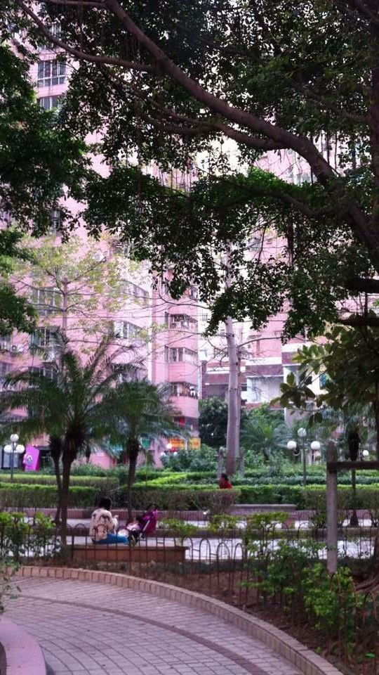  p data-id="gnzrclm0mv">龙珠花园位于深圳市龙岗区布吉街道 a