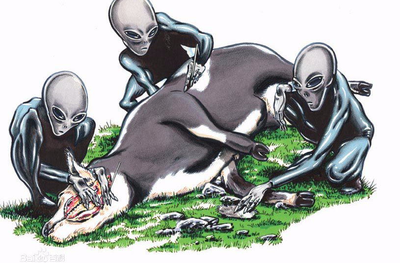 19世纪至20世纪70,80年代,美国一些州曾发生神秘"屠牛事件",母牛的