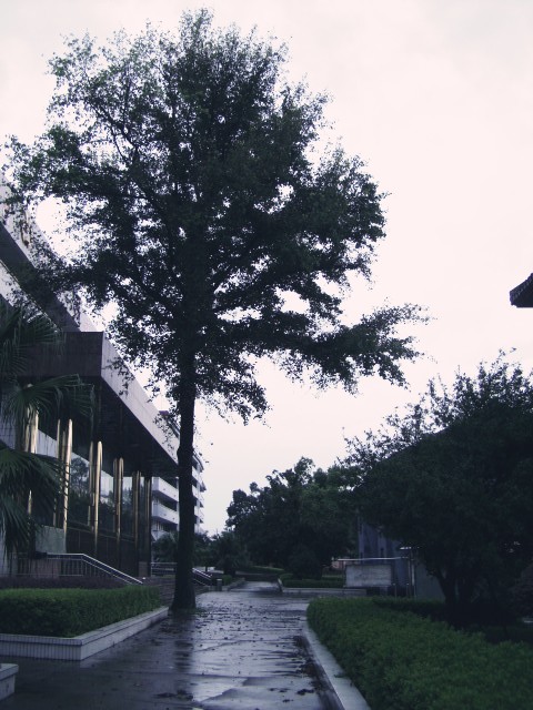 湖南省江永县第一中学